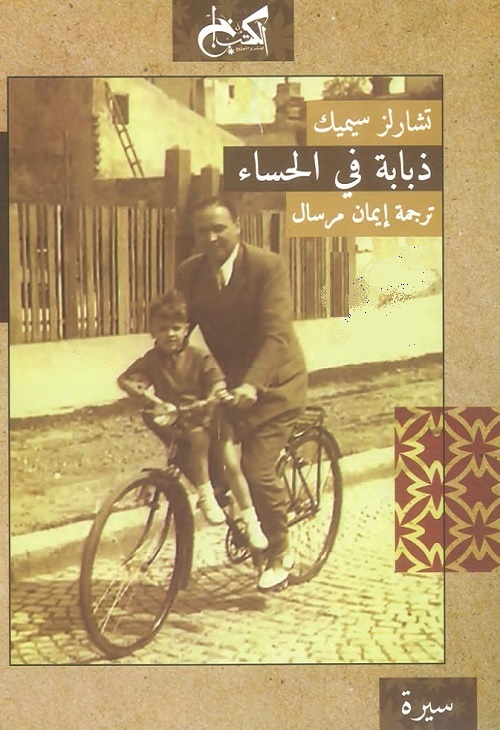 ذبابة في الحساء